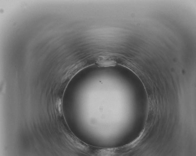 X0000073720094200608101915