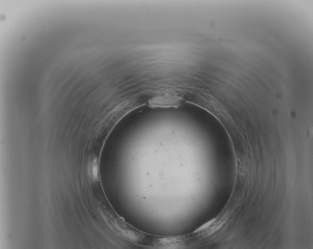 X0000073720095200608101915