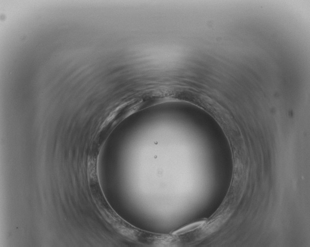 X0000073720096200608101915