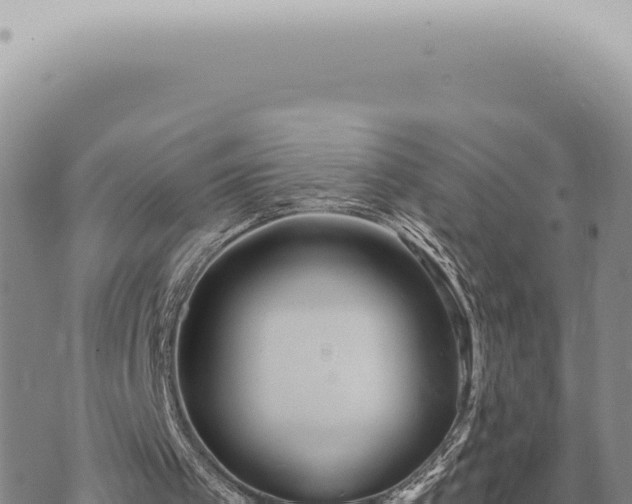 X0000073720097200608101914