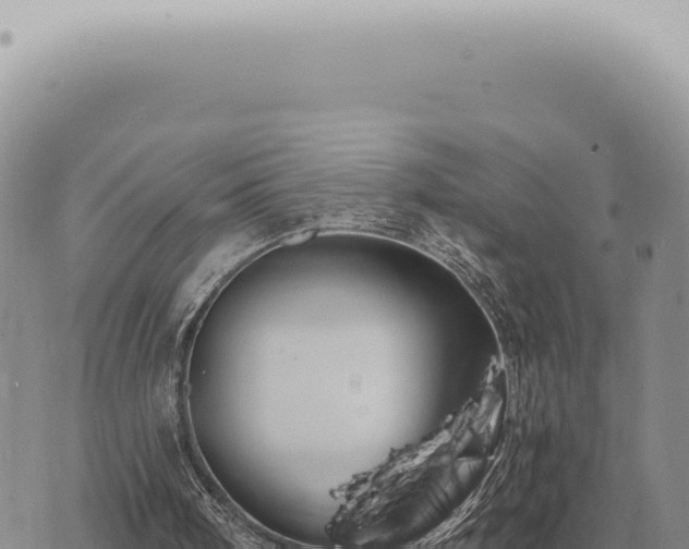 X0000073720098200608101914