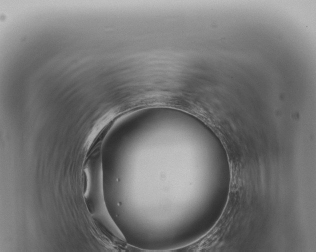 X0000073720099200608101914