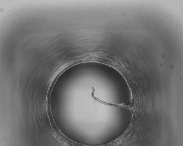 X0000073720100200608101914