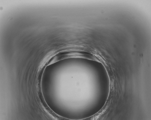 X0000073720101200608101914