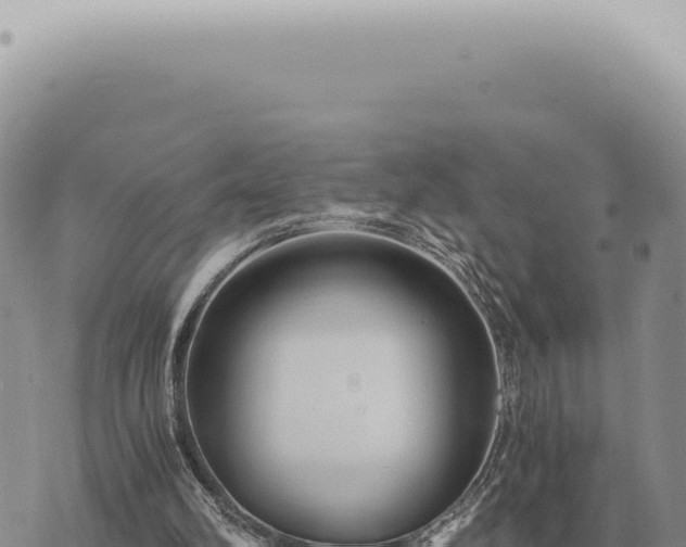 X0000073720102200608101914