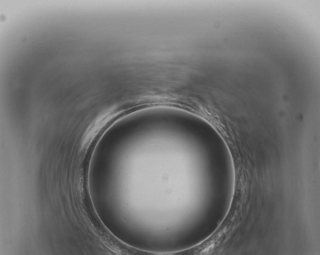 X0000073720103200608101914