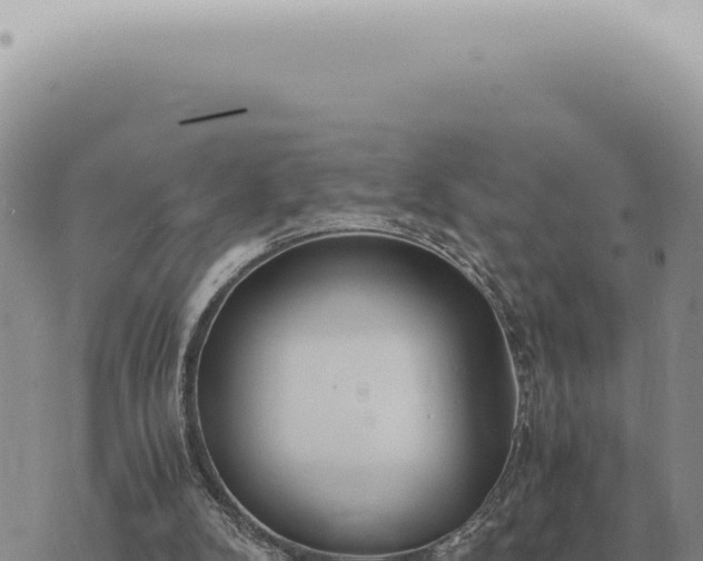 X0000073720104200608101914