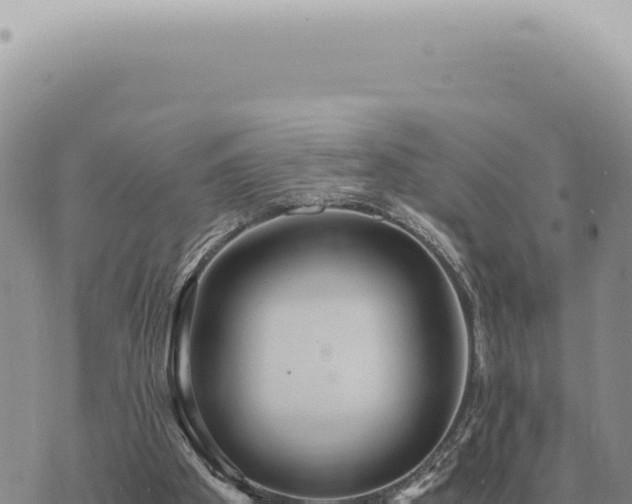 X0000073720105200608101914