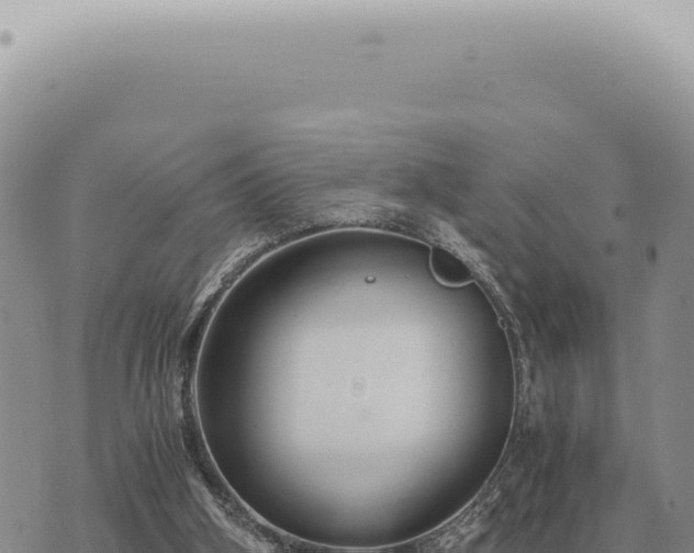 X0000073720106200608101914