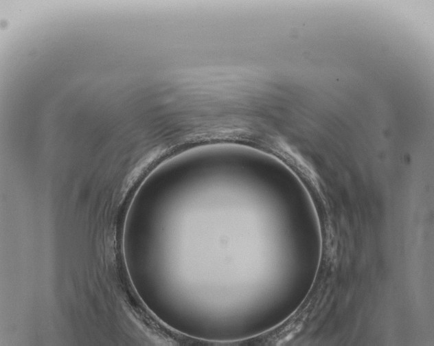 X0000073720107200608101914