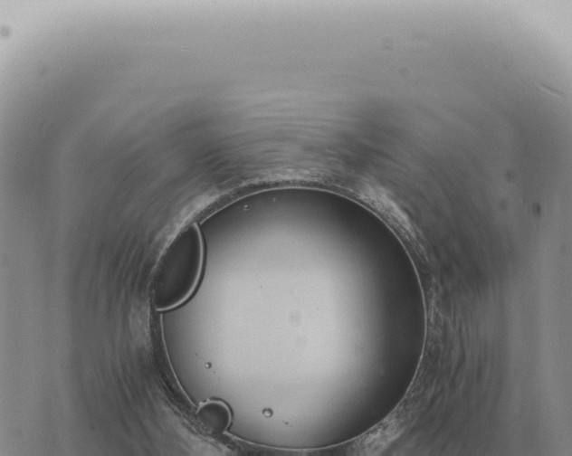 X0000073720108200608101914