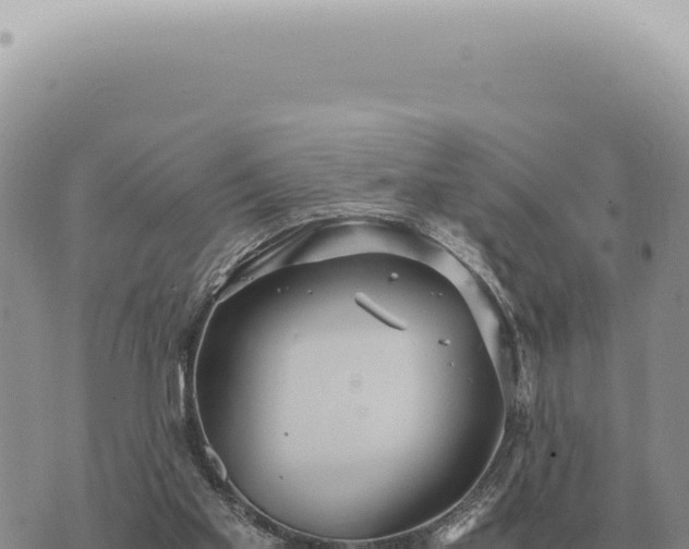 X0000073720109200608101914