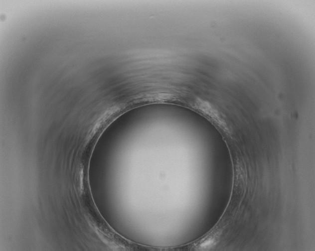 X0000073720110200608101914