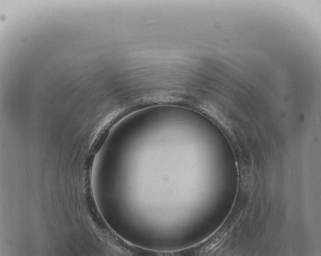 X0000073720111200608101914