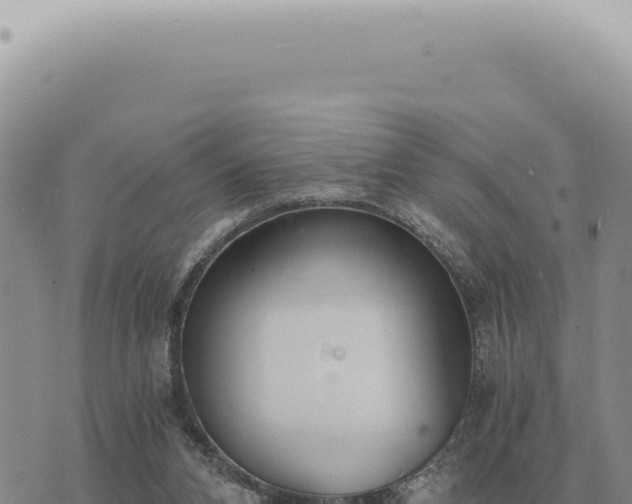 X0000073720112200608101914