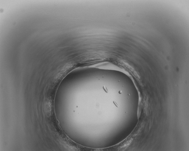 X0000073720113200608101914