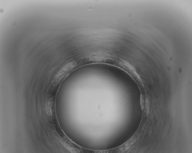 X0000073720114200608101914