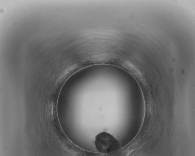 X0000073720115200608101914