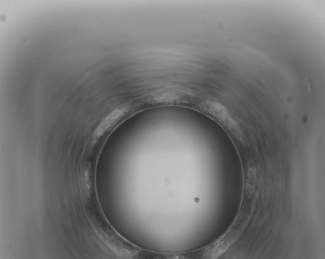 X0000073720116200608101914