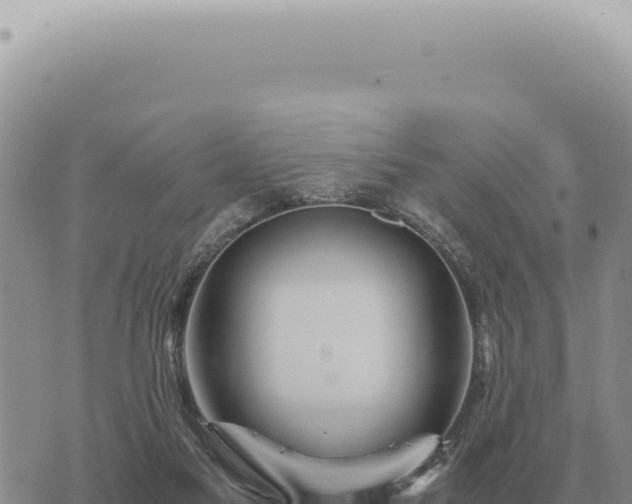 X0000073720117200608101914