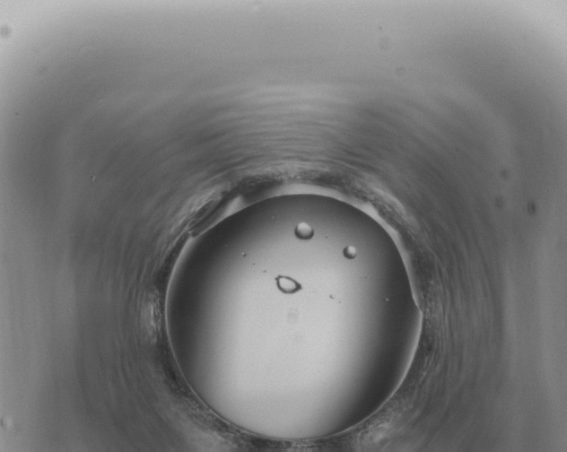 X0000073720119200608101914