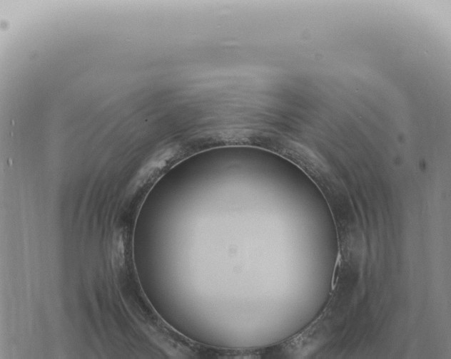 X0000073720120200608101914