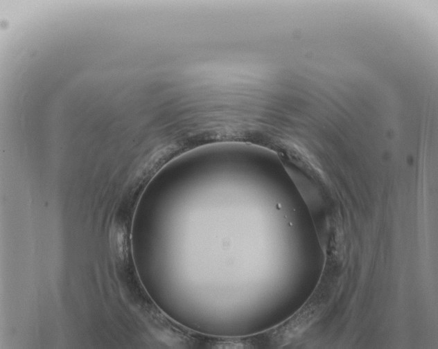 X0000073720123200608101914