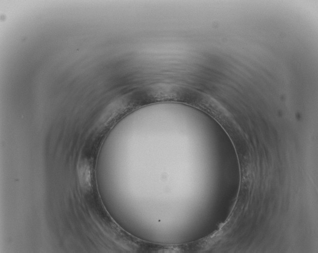 X0000073720124200608101914