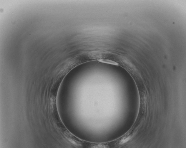 X0000073720125200608101914