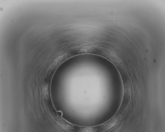 X0000073720127200608101914