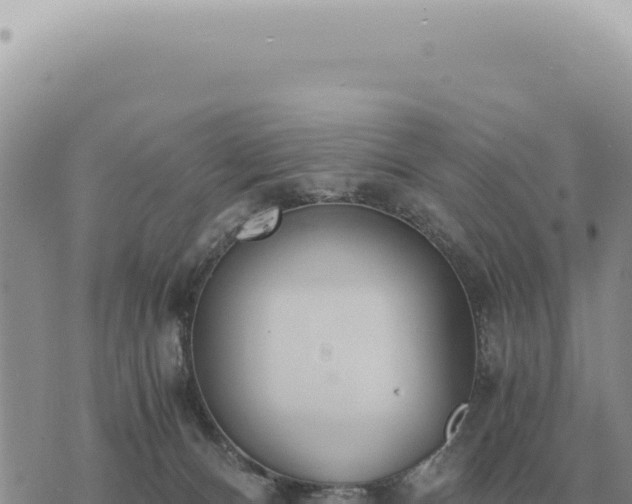 X0000073720128200608101914