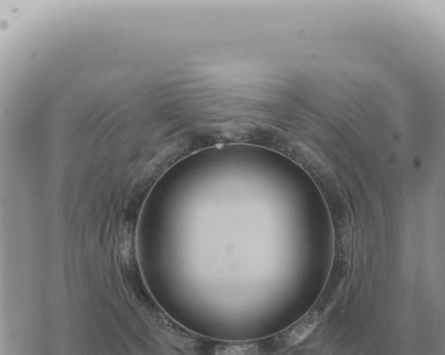 X0000073720129200608101913