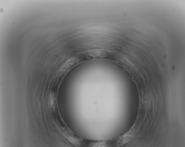 X0000073720132200608101913