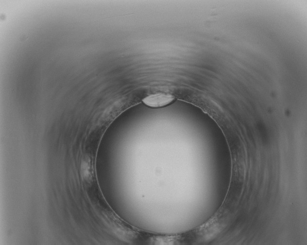 X0000073720134200608101913