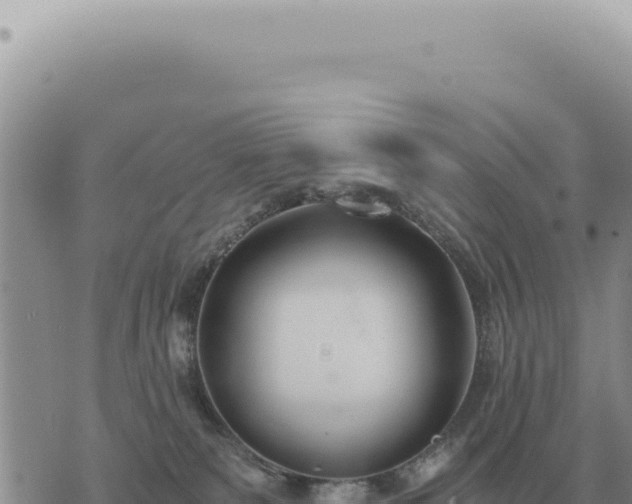 X0000073720135200608101913