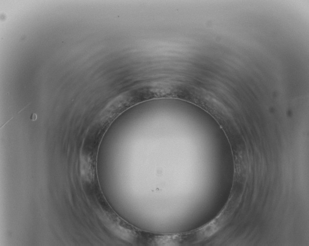 X0000073720136200608101913