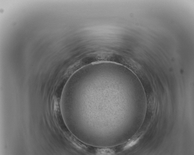 X0000073720137200608101913