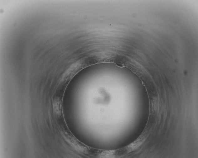 X0000073720138200608101913