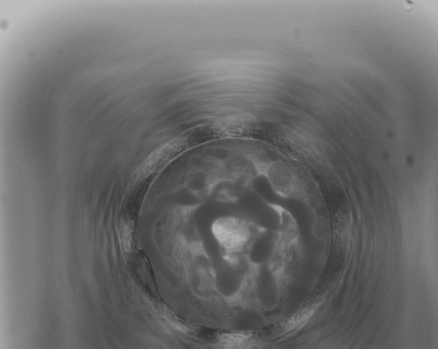 X0000073720139200608101913