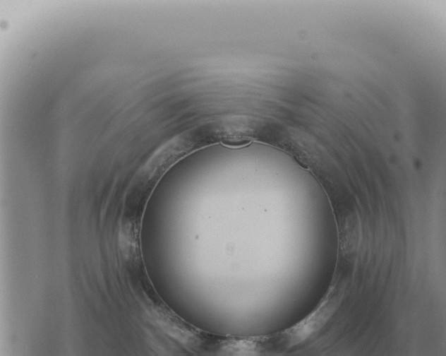 X0000073720140200608101913