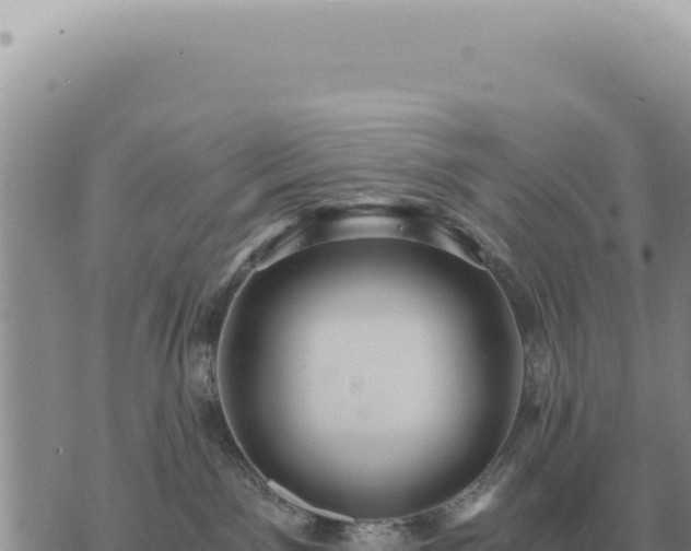 X0000073720141200608101913