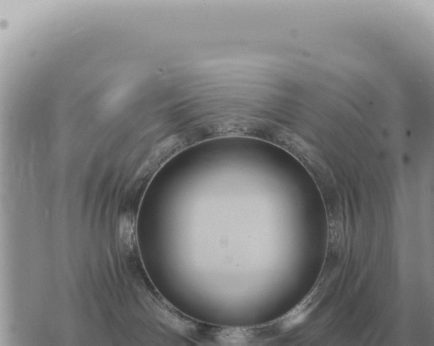 X0000073720142200608101913