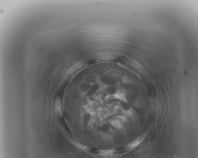 X0000073720143200608101913