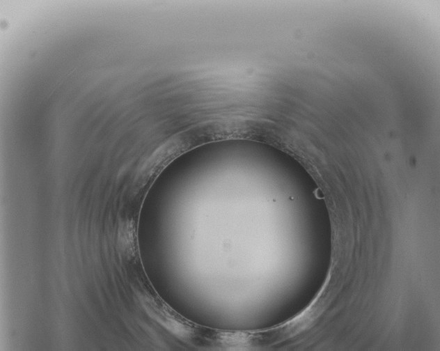 X0000073720144200608101913