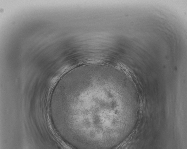 X0000073720145200608101912