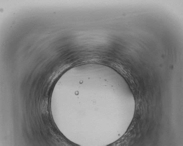 X0000073720146200608101912