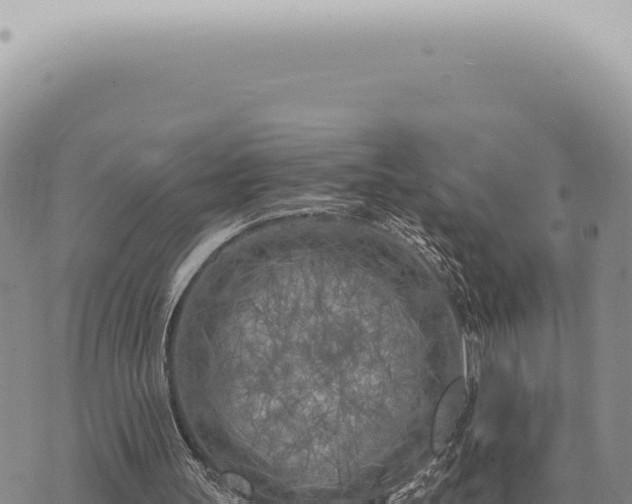 X0000073720147200608101912