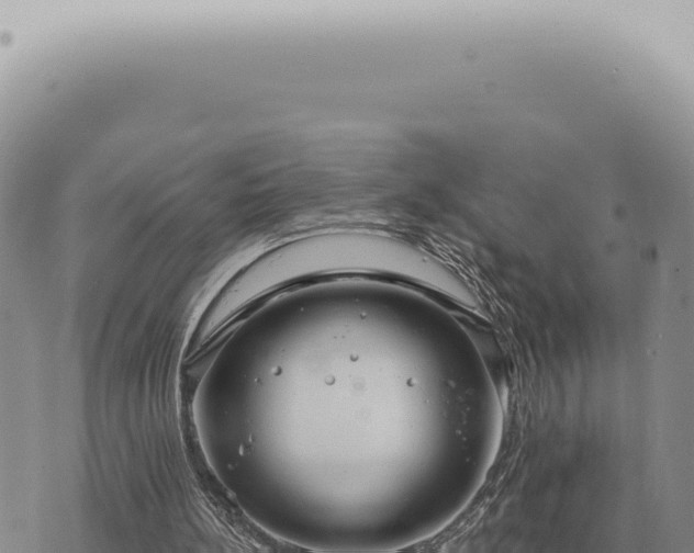 X0000073720148200608101913