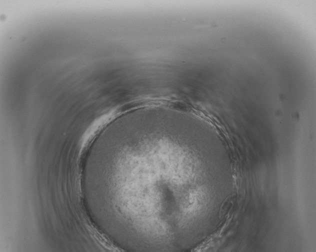 X0000073720149200608101913