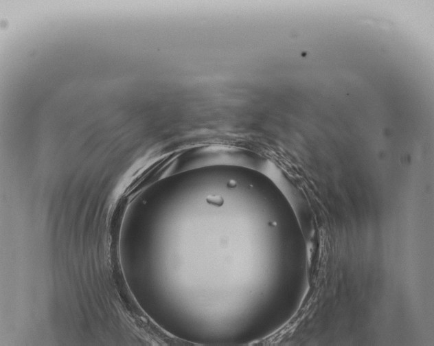 X0000073720150200608101913